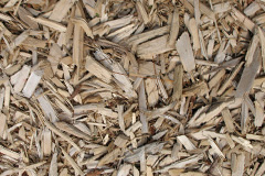 biomass boilers Maplebeck